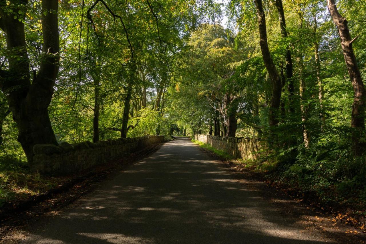 Millbrae Lodges Belfast Zewnętrze zdjęcie