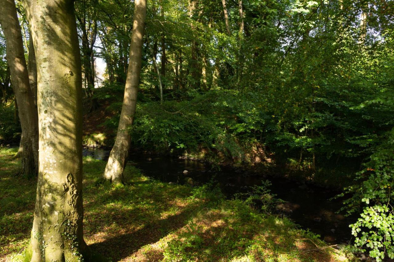 Millbrae Lodges Belfast Zewnętrze zdjęcie