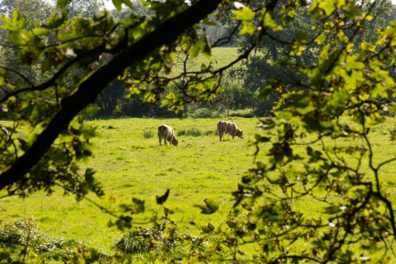 Millbrae Lodges Belfast Zewnętrze zdjęcie